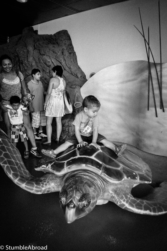 Riding on a turtle replica