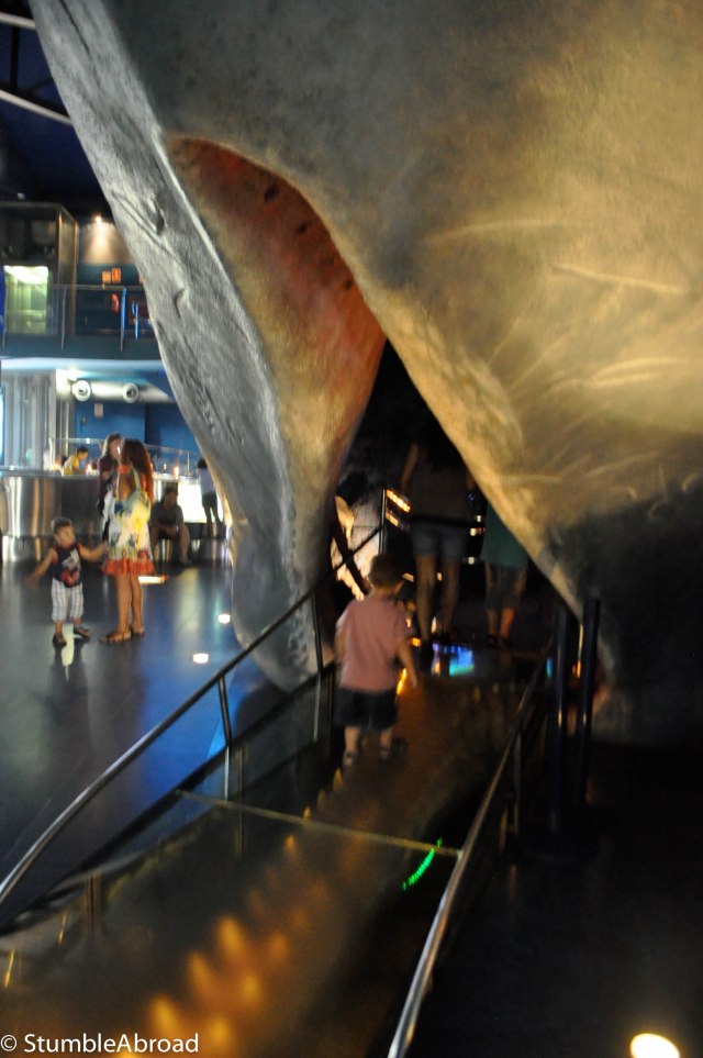 Going inside the Whale's mouth